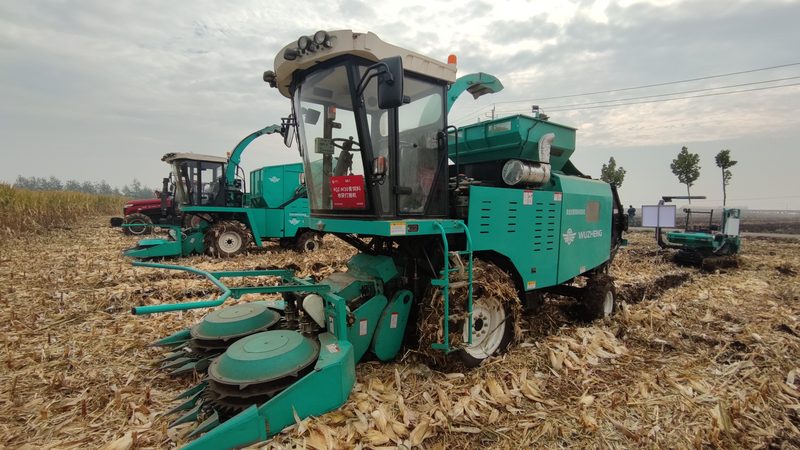 小型粮食烘干机选购攻略：关键指标全解析